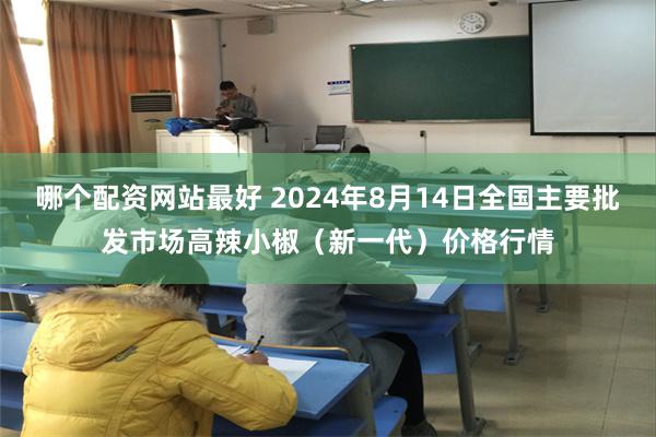 哪个配资网站最好 2024年8月14日全国主要批发市场高辣小椒（新一代）价格行情