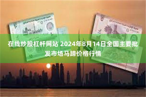 在线炒股杠杆网站 2024年8月14日全国主要批发市场马蹄价格行情