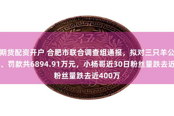 期货配资开户 合肥市联合调查组通报，拟对三只羊公司没收、罚款共6894.91万元，小杨哥近30日粉丝量跌去近400万